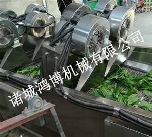 潍坊干果风干机