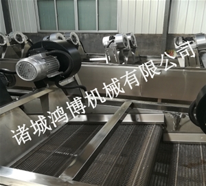 潍坊全自动果蔬清洗风干机