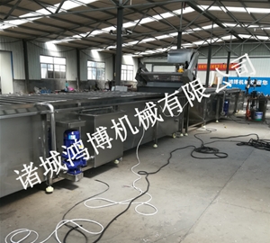 潍坊食用菌类清洗机