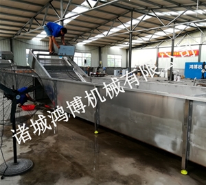 潍坊鸡肉清洗机