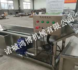 潍坊西红柿气泡清洗机