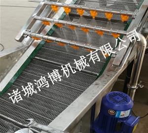 潍坊辣椒清洗机