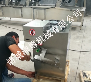 潍坊饮料厂专用削皮设备